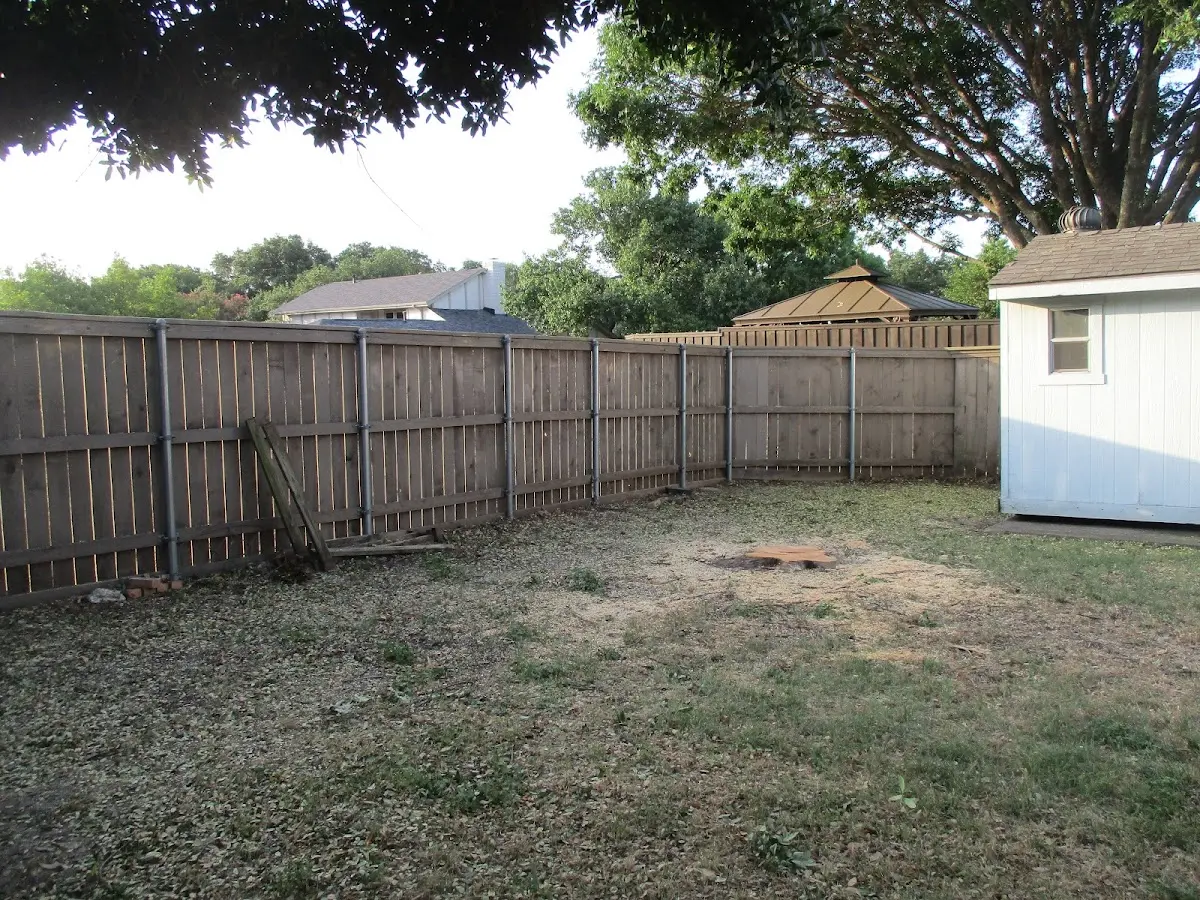 Cleared yard after professional tree removal in Clayton